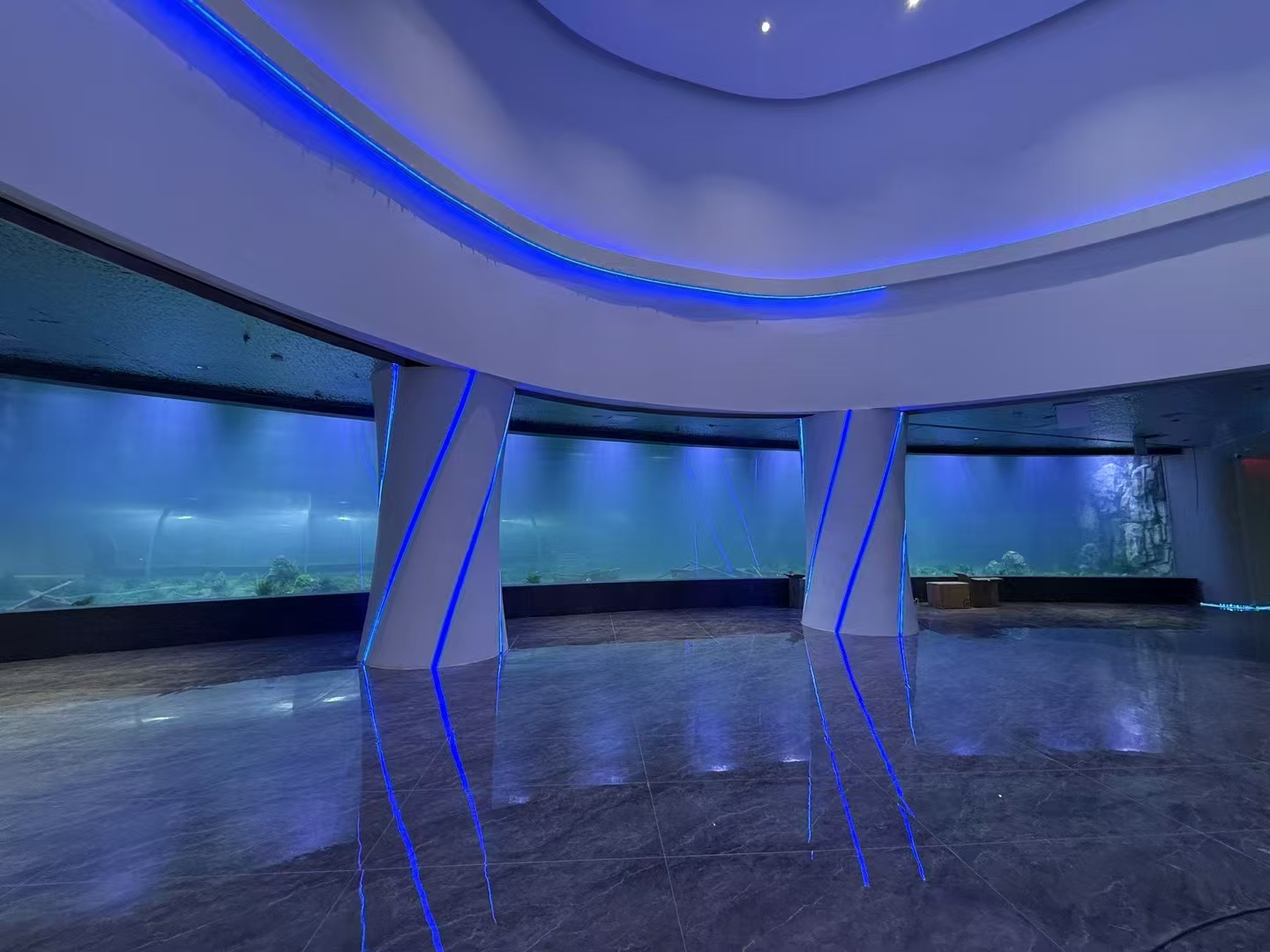 Cad iad na buntáistí a bhaineann le bileog aicrileach i bhfuinneoga móra aquarium?